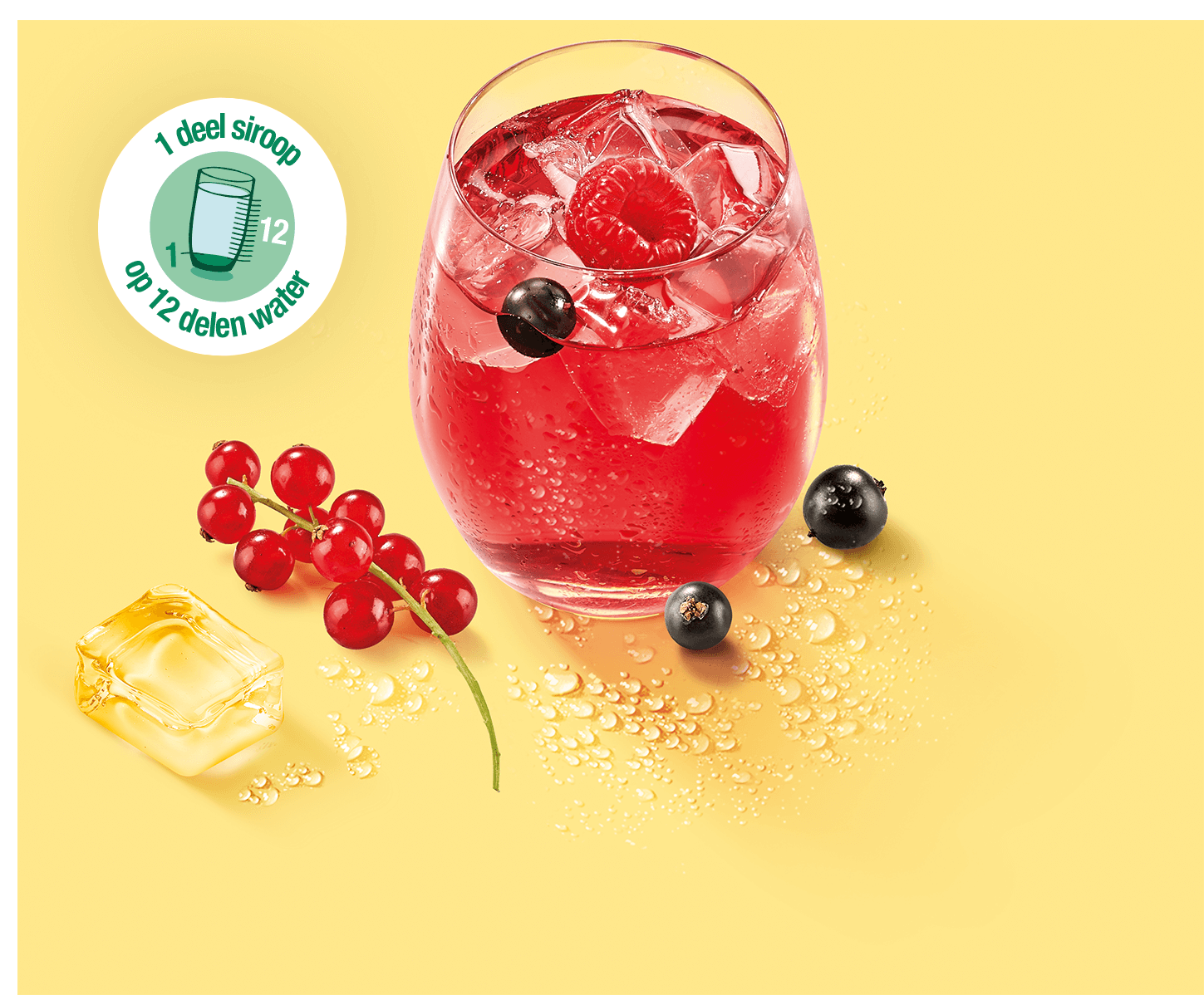 ne-erlandais-nos-engagements-lame05-64245fc02934a